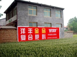 张家港如何让墙体广告展现最大化效果